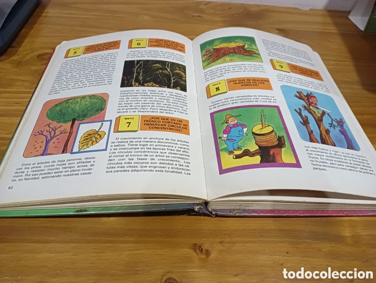 Libros de segunda mano: Una pregunta para cada d&iacute;a. - Foto 4