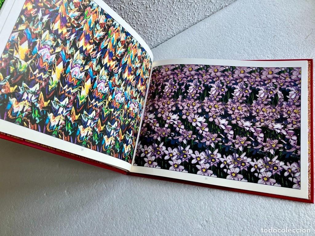 Libros de segunda mano: El ojo m&aacute;gico 1 Im&aacute;genes planas en 3D Ediciones B - Foto 6
