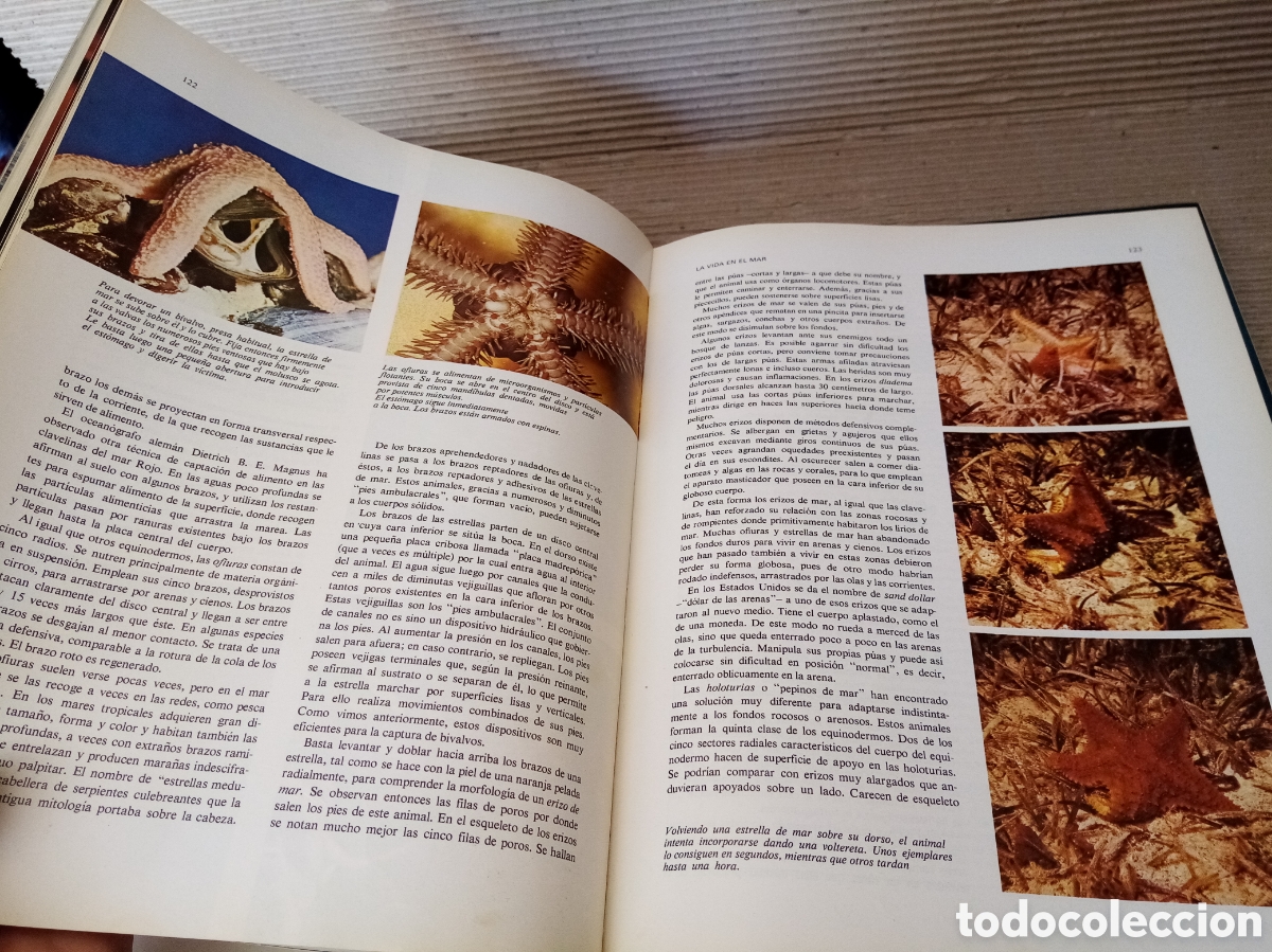 Libros de segunda mano: El gran libro de los oc&eacute;anos. - Foto 3