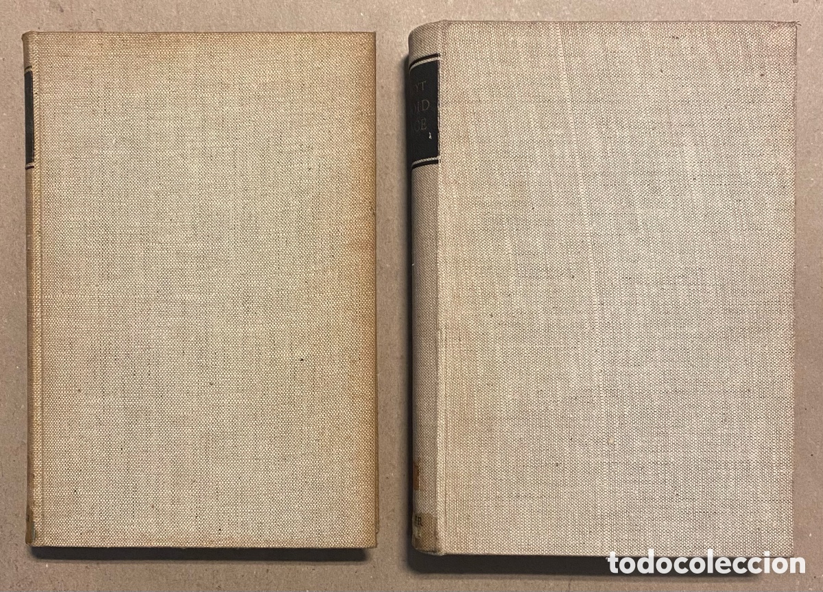 Libros de segunda mano: COLLOID SCIENCE. EDITED BY H.R. KRUYT. ELSEVIER PUBLISHING. 2 TOMOS. - Foto 1
