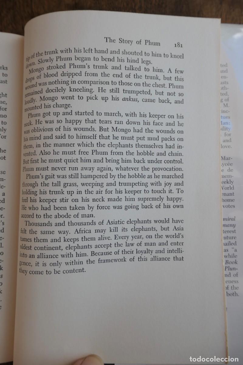 Libros de segunda mano: THE ELEPHANTS. GEORGES BLOND 1961 - Foto 5