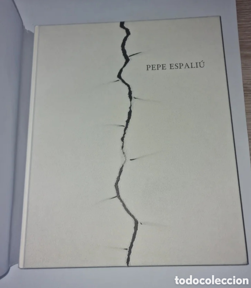 Libros de segunda mano: Pepe Espali&uacute;, obra pl&aacute;stica - Foto 3
