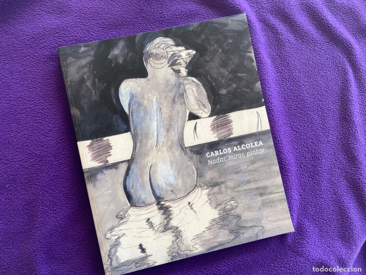 Libros de segunda mano: Carlos Alcolea: Nadar, mirar, pintar. Exposici&oacute;n - Foto 1