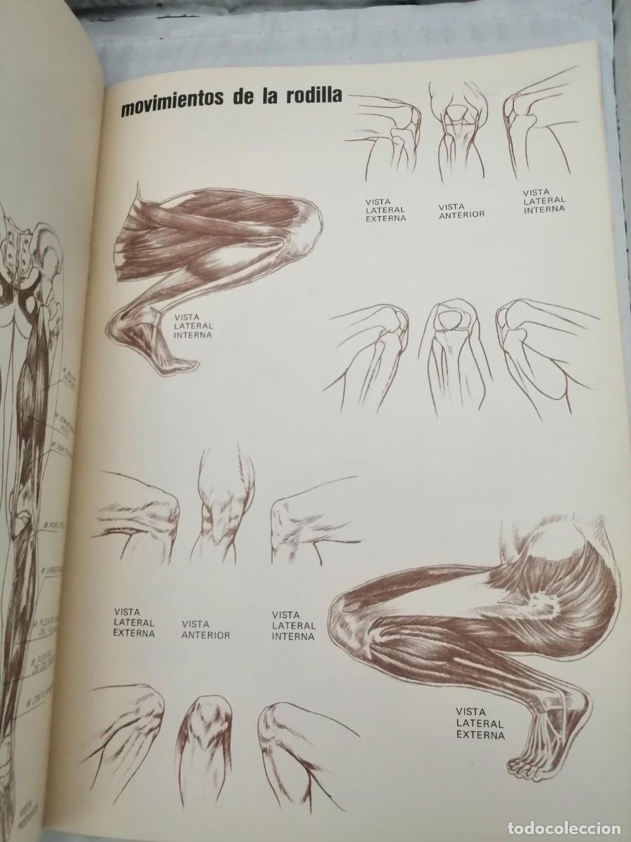 Libros de segunda mano: Anatom&iacute;a para Artistas - Foto 3