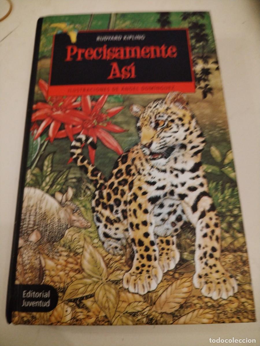 Libros de segunda mano: Precisamente as&iacute; -Rudyard kipling -editorial juventud - Foto 1