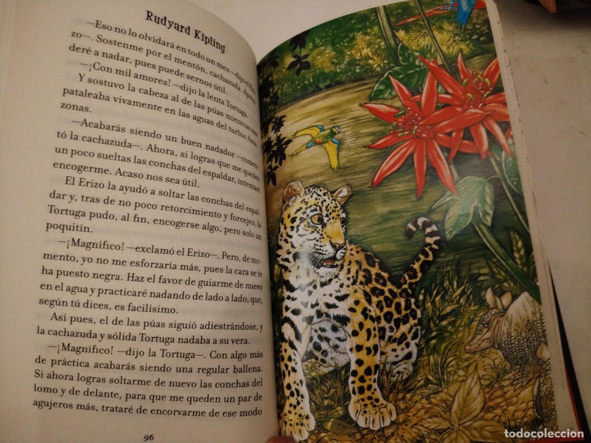 Libros de segunda mano: Precisamente as&iacute; -Rudyard kipling -editorial juventud - Foto 8