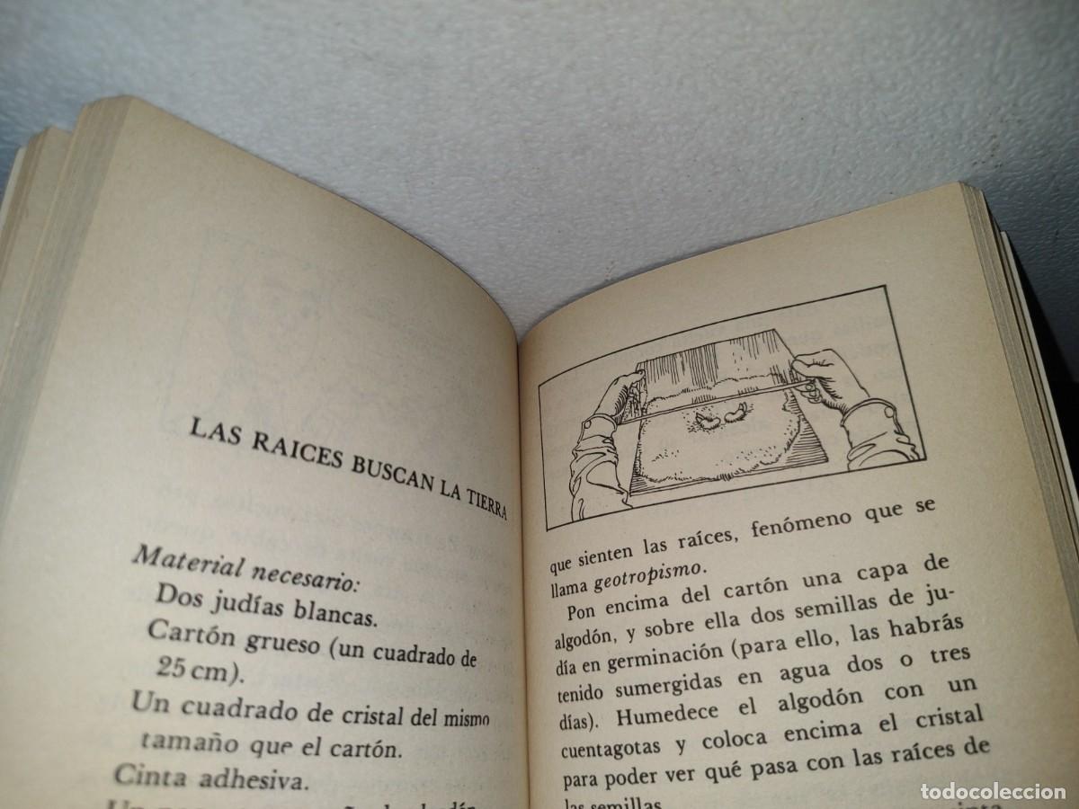 Libros de segunda mano: 100- EL TALLER DE LOS EXPERIMENTOS - EDITORIAL LABOR, S. A. - 1987 - Foto 7