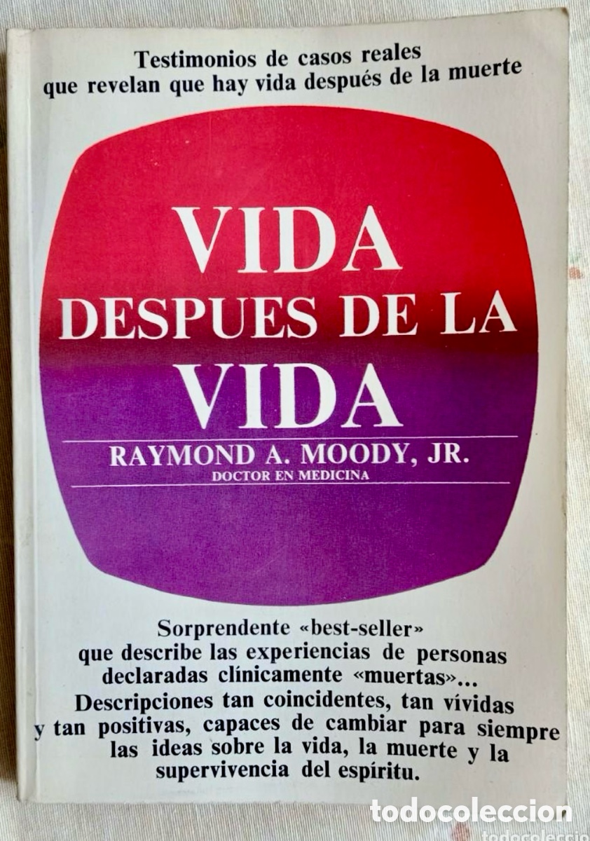 Libros de segunda mano: LIBRO LA VIDA DESPU&Eacute;S DE LA VIDA - Foto 1