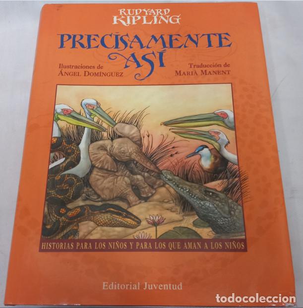 Libros de segunda mano: PRECISAMENTE ASI, RUDYARD KIPLING, EDITORIAL JUVENTUD 2000 - Foto 1