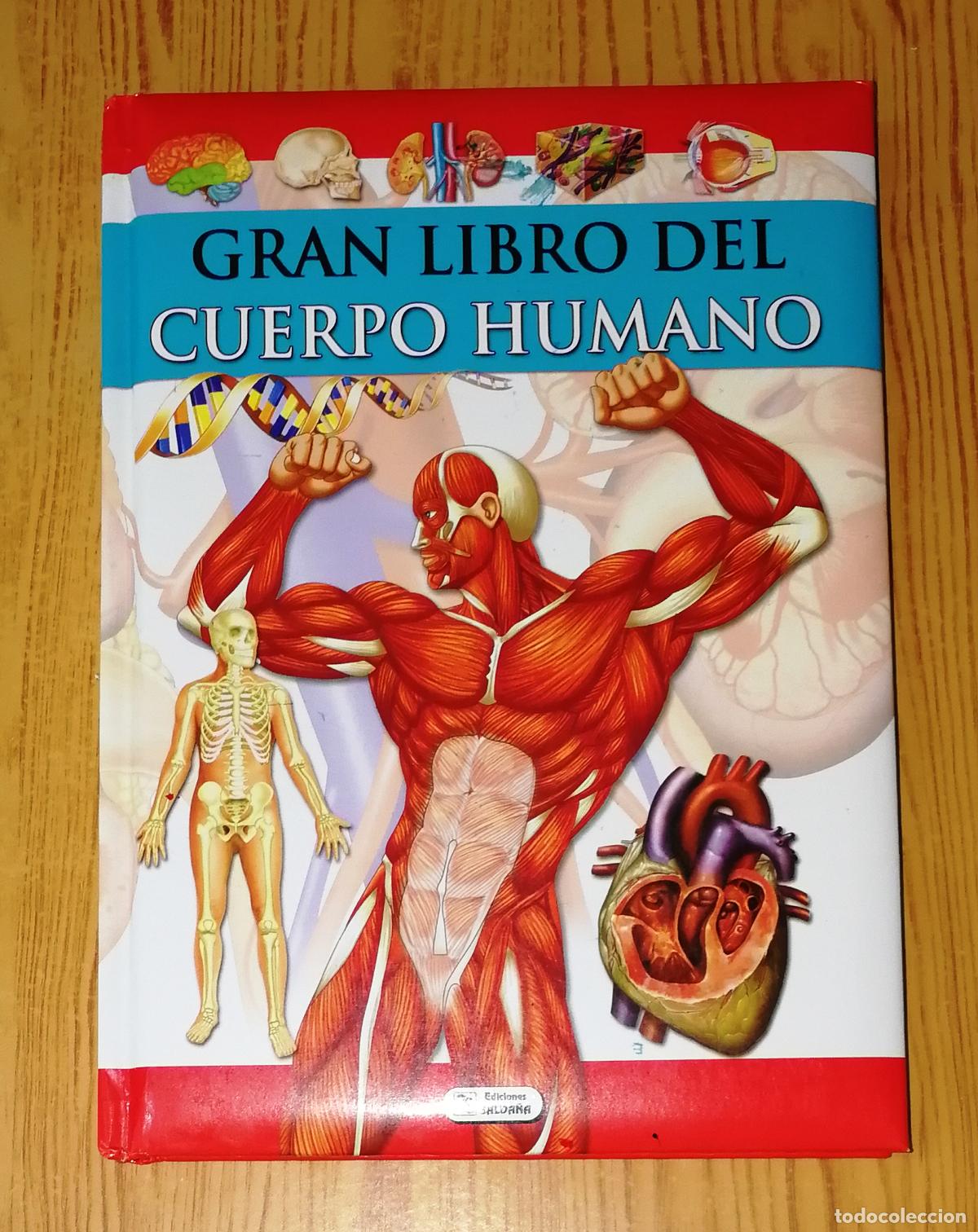Libros de segunda mano: EL GRAN LIBRO DEL CUERPO HUMANO. - Ediciones Salda&ntilde;a, 2009 - Foto 1
