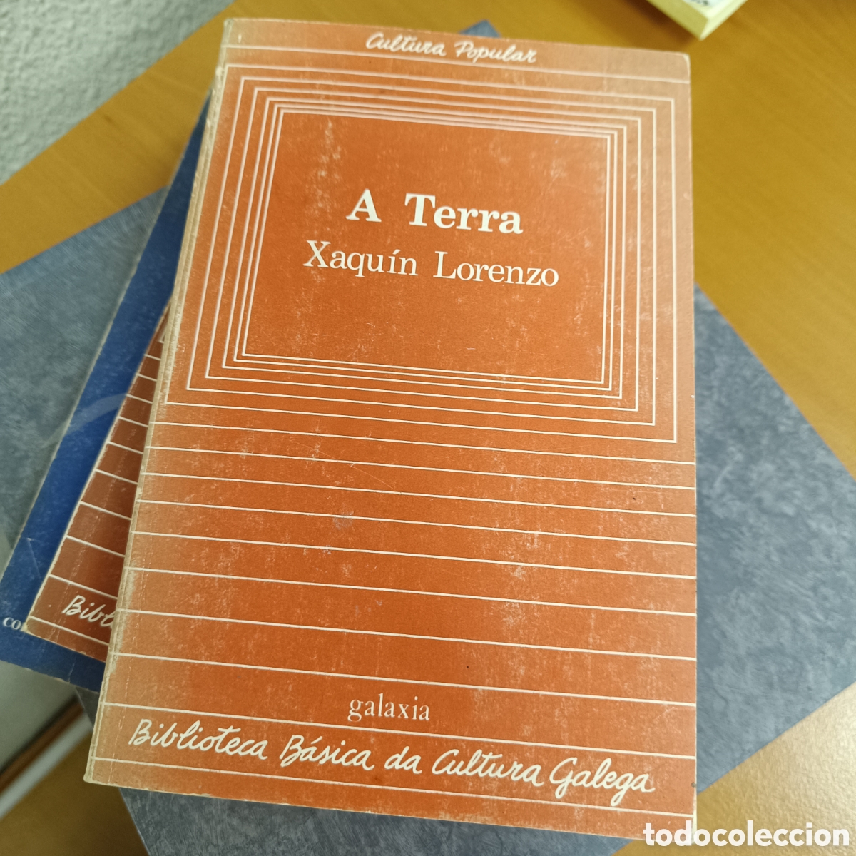 Libros de segunda mano: A Terra - Xaqu&iacute;n Lourenzo (Galaxia) - Foto 1