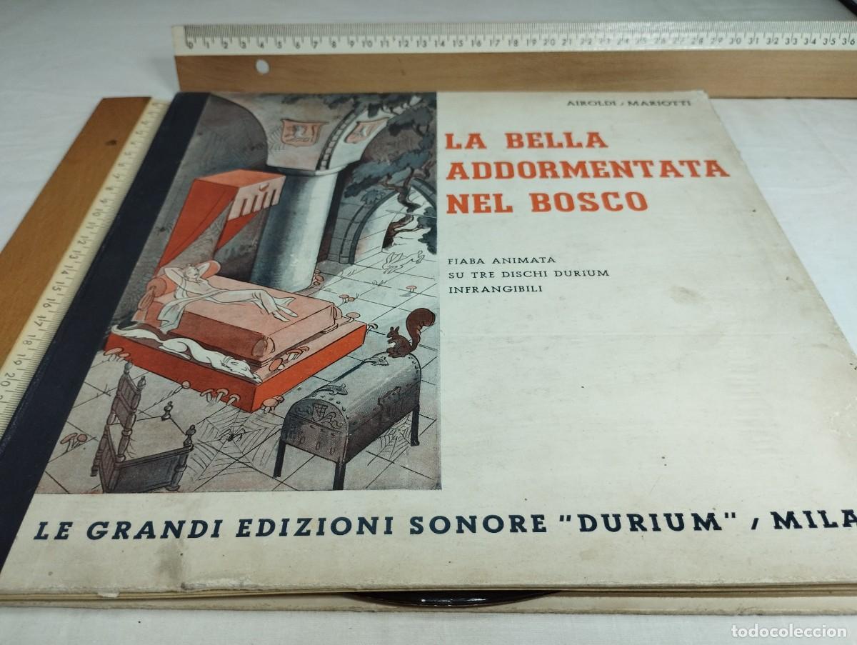 Libros de segunda mano: La bella addormentata nel Bosco. Airoldi / Mariotti. - Foto 1