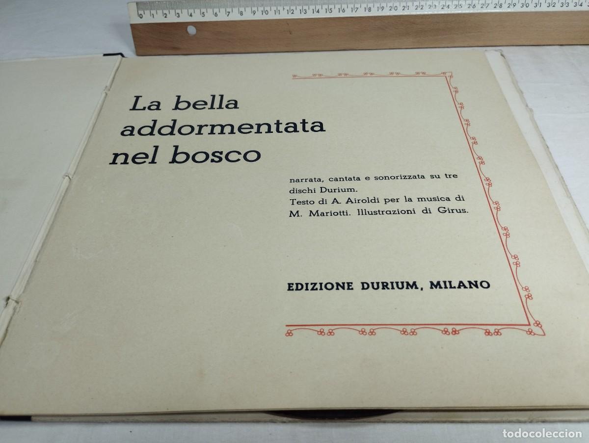Libros de segunda mano: La bella addormentata nel Bosco. Airoldi / Mariotti. - Foto 2