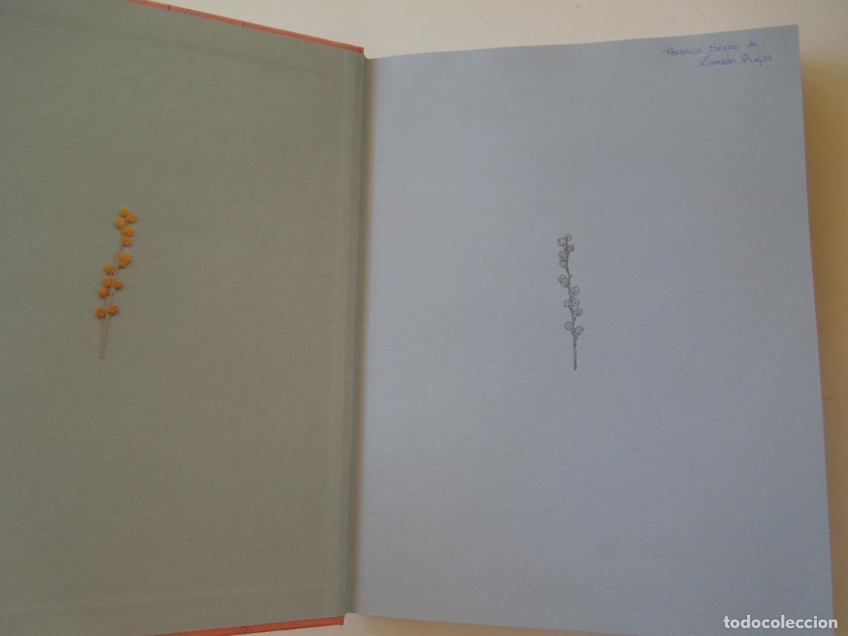 Libros de segunda mano: ANATOM&Iacute;A DE LAS EMOCIONES - ALEJANDRA G. REM&Oacute;N - PLANETA 2023. - Foto 4