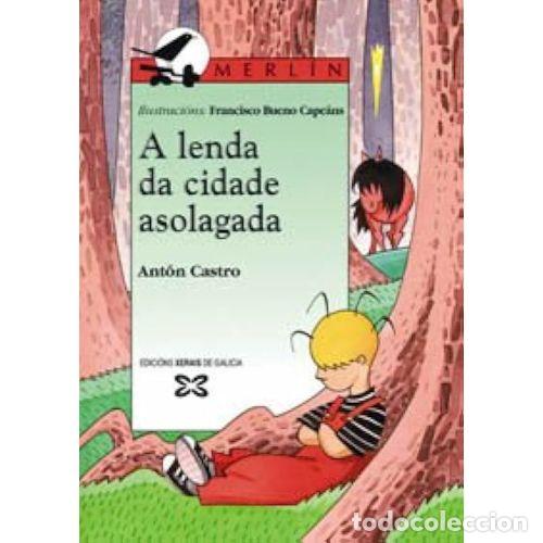 Libri di seconda mano: A LENDA DA CIDADE ASOLAGADA - CASTRO. ANTON - Sin Especificar