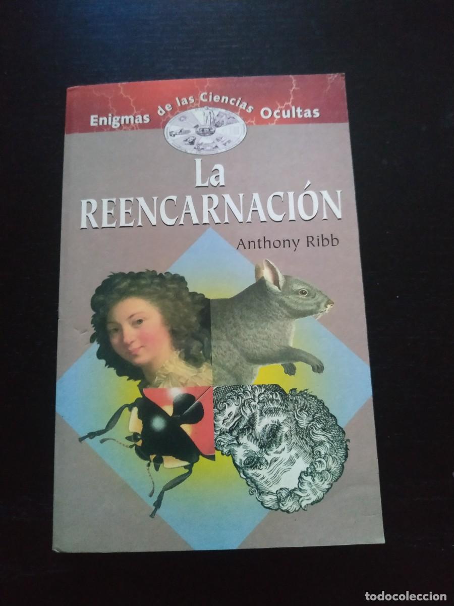 Libros de segunda mano: La reencarnaci&oacute;n - Anthony Ribb - Foto 1