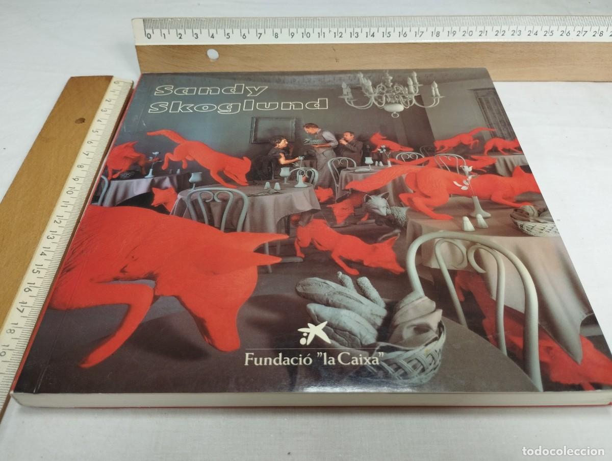 Libros de segunda mano: Sandy Skoglund. 1992 - Foto 1