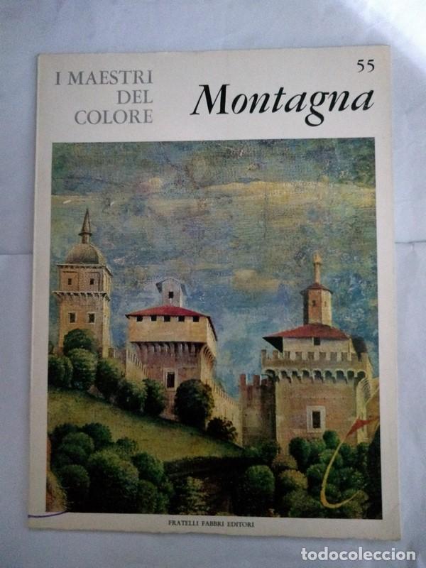 Libros de segunda mano: Bartolomeo Montagna. 55 - Foto 1