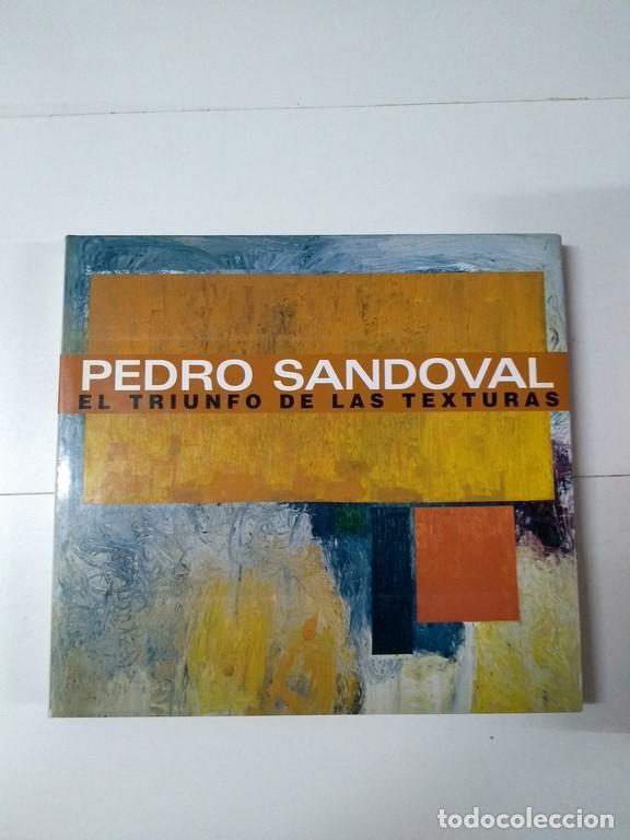 Libros de segunda mano: Pedro Sandoval. El triunfo de las texturas - Julia S&aacute;ez Angulo - Foto 1