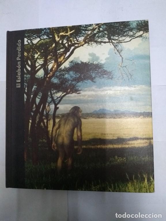 Libros de segunda mano: El Eslab&oacute;n Perdido - Maitland A. Edey - Foto 1