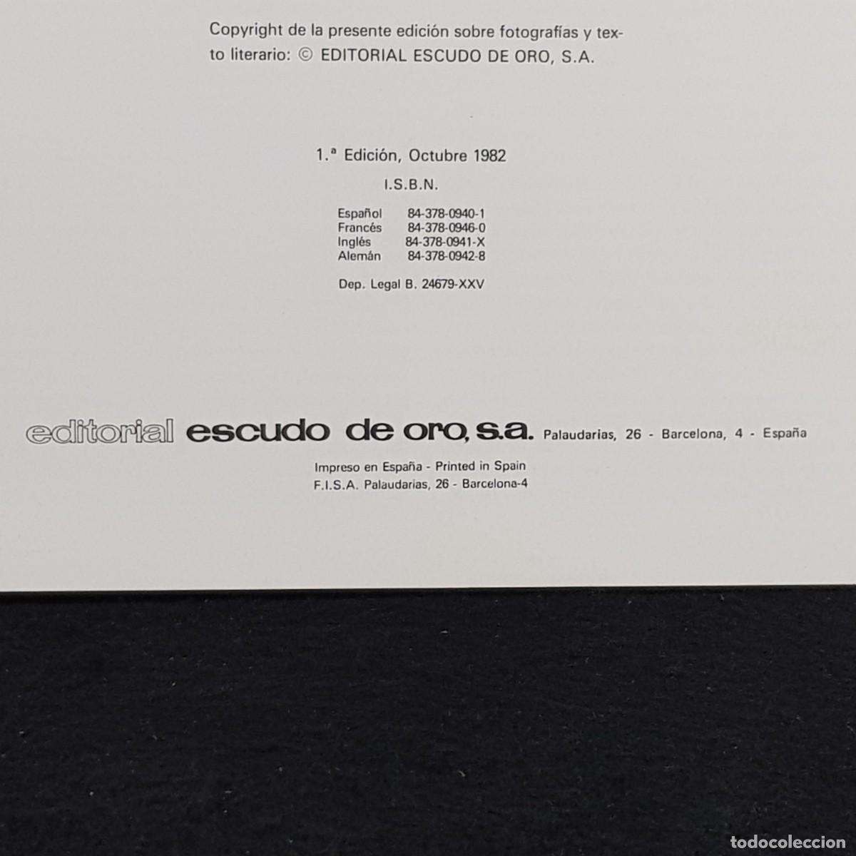 Libros de segunda mano: CASTILLOS DE ESPA&Ntilde;A - EDITORIAL ESCUDO DE ORO - 1982 / 237 - Foto 5