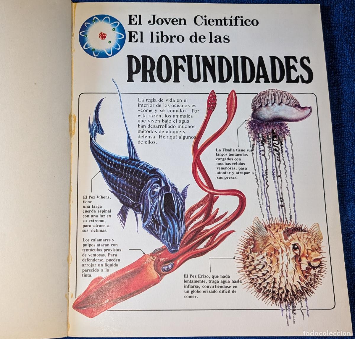 Libros de segunda mano: El libro de las profundidades - El joven cient&iacute;fico - PLESA - Ediciones SM (1978) - Foto 2