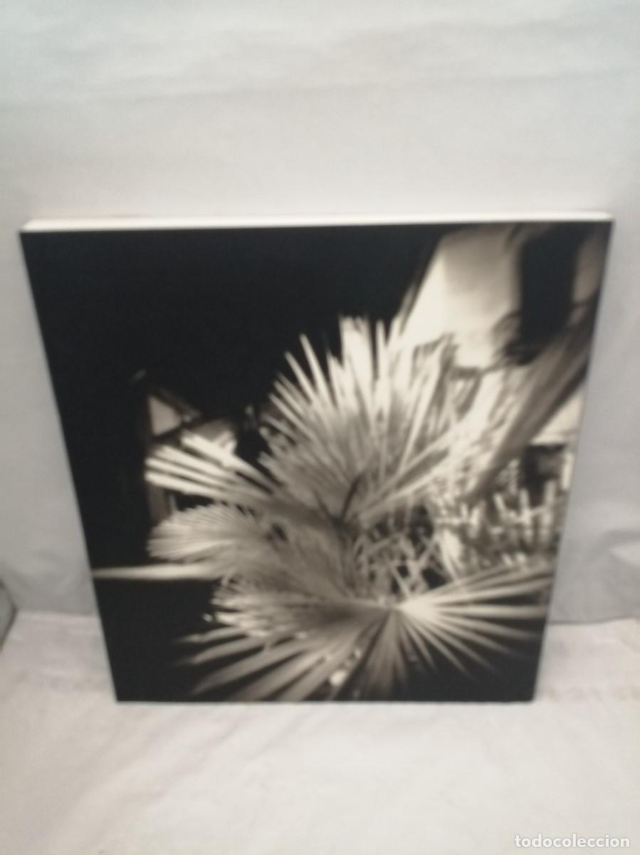 Libros de segunda mano: Artistes de la Casa de Vel&aacute;zquez 2000 - Foto 2