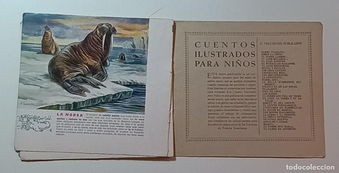 Libros de segunda mano: ANIMALES SALVAJES 3 - RAMON SOPENA - Foto 3