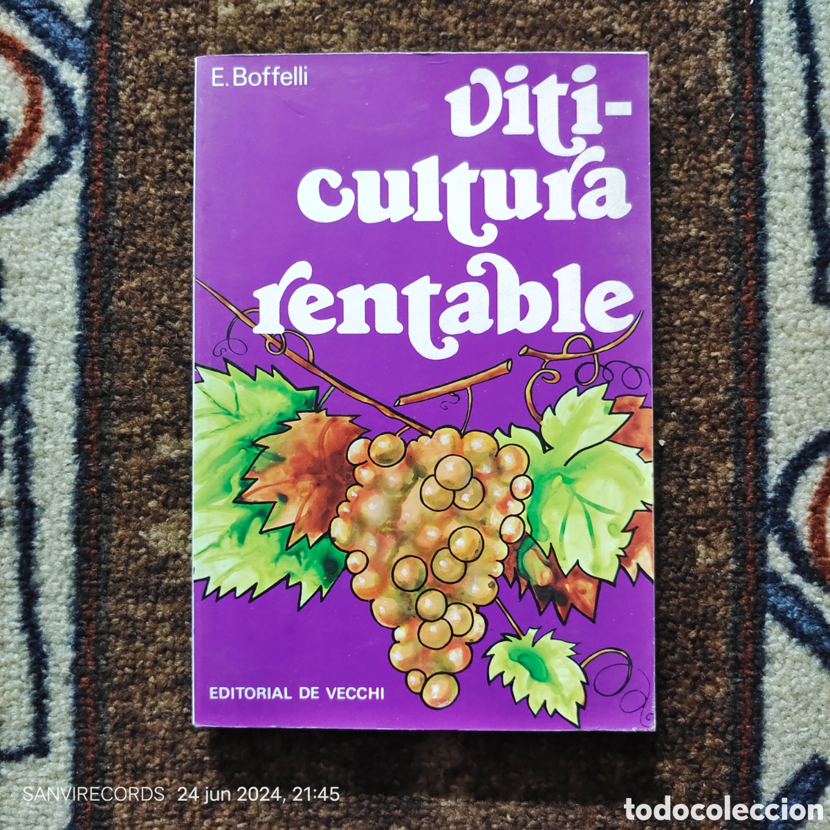 Libros de segunda mano: VITICULTURA RENTABLE (E. BOFFELLI) (EDITORIAL DE VECCHI) - Foto 1