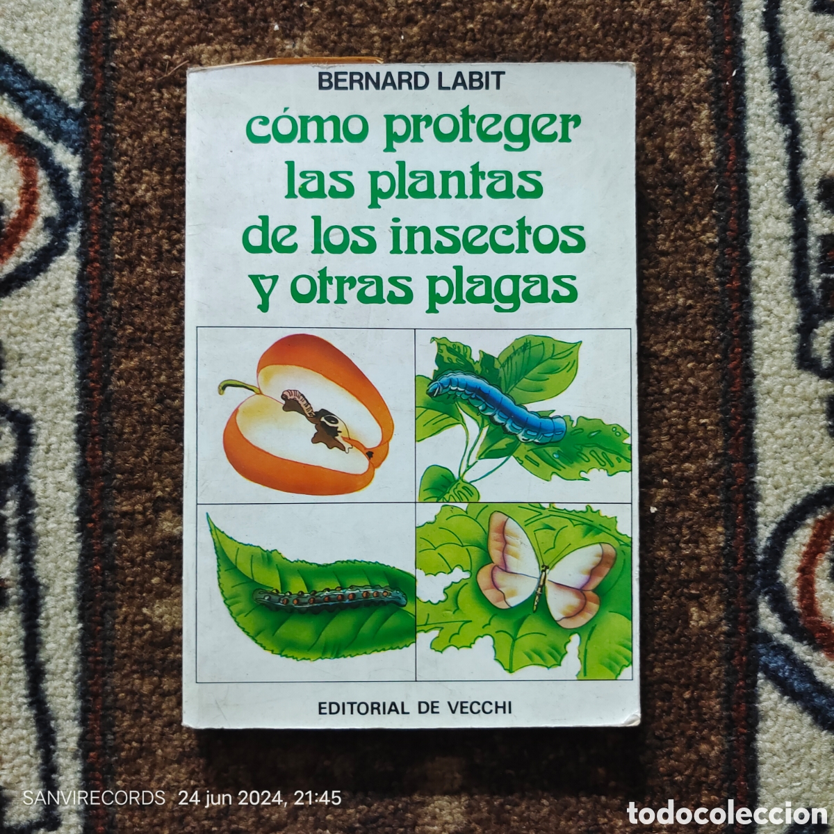 Libros de segunda mano: C&Oacute;MO PROTEGER LAS PLANTAS DE LOS INSECTOS Y OTRAS PLAGAS (BERNARD LABIT) (EDITORIAL DE VECCHI) - Foto 1