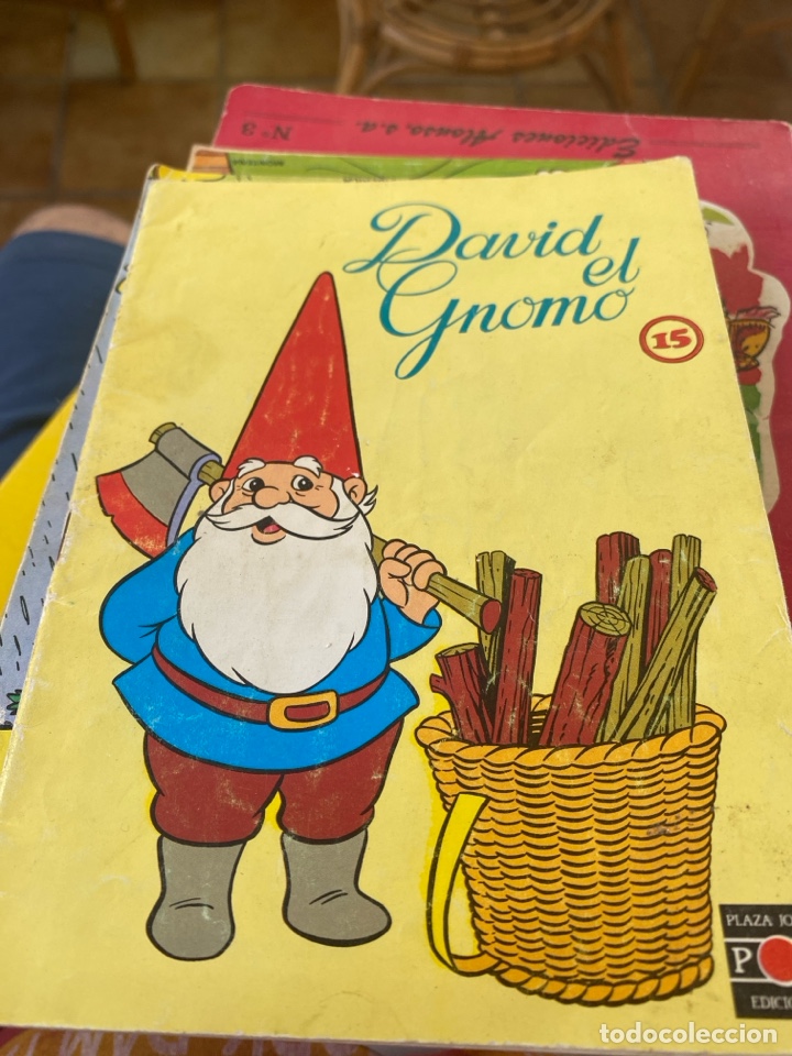 Libros de segunda mano: C&oacute;mic a&ntilde;os 80 David el Gnomo - Foto 1