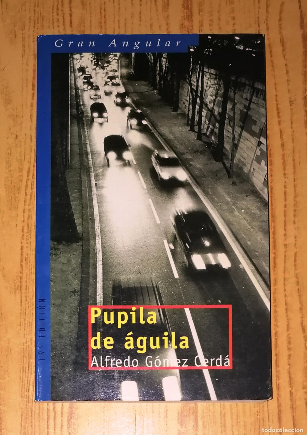 Libros de segunda mano: PUPILA DE &Aacute;GUILA (Gran Angular ; 97) / Alfredo G&oacute;mez Cerd&aacute;. - 19&ordf; ed. - Ediciones SM, 2002 - Foto 1
