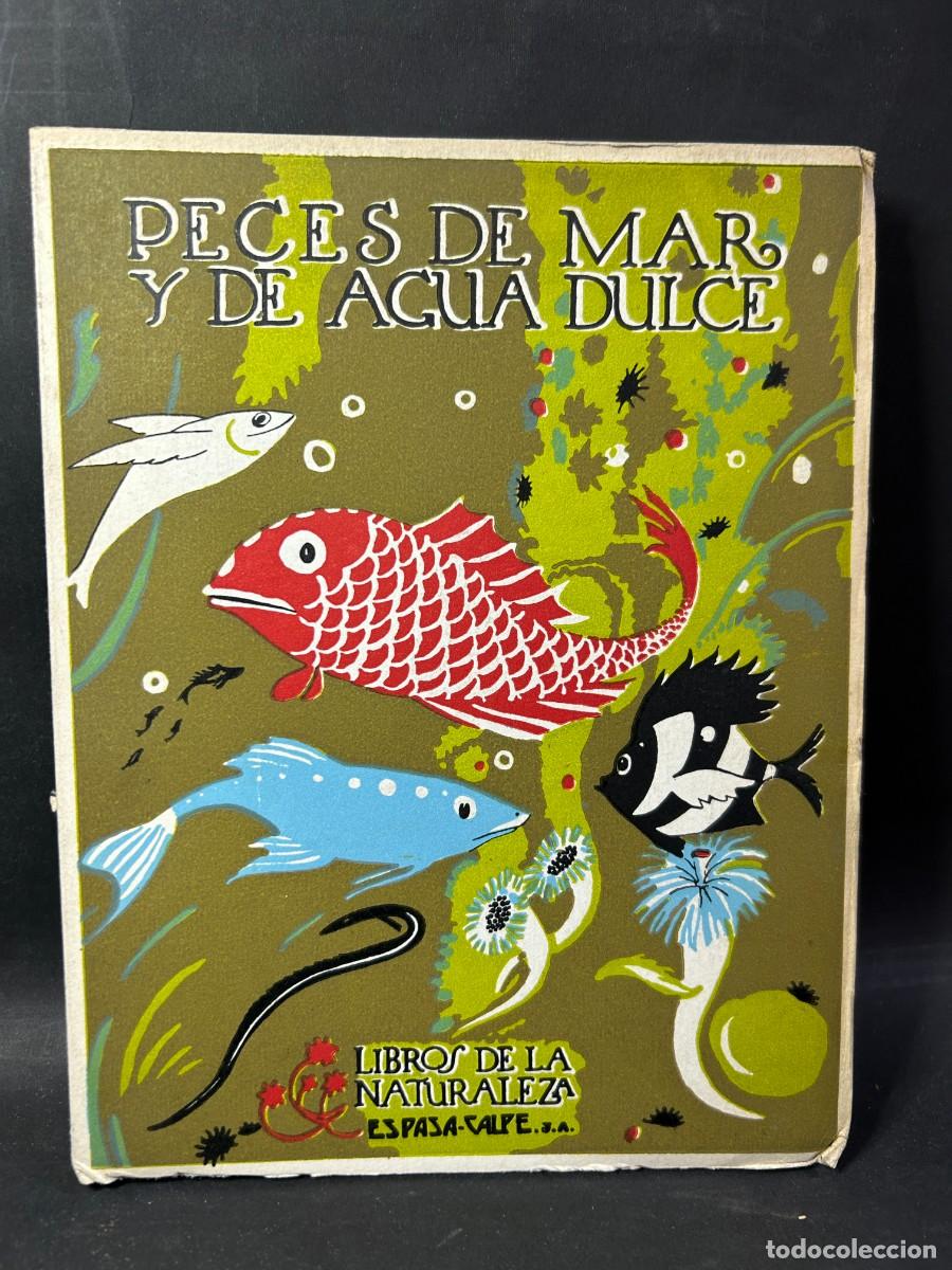 Libros de segunda mano: &Aacute;NGEL CABRERA - PECES DE MAR Y DE AGUA DULCE - 1958 - Foto 1