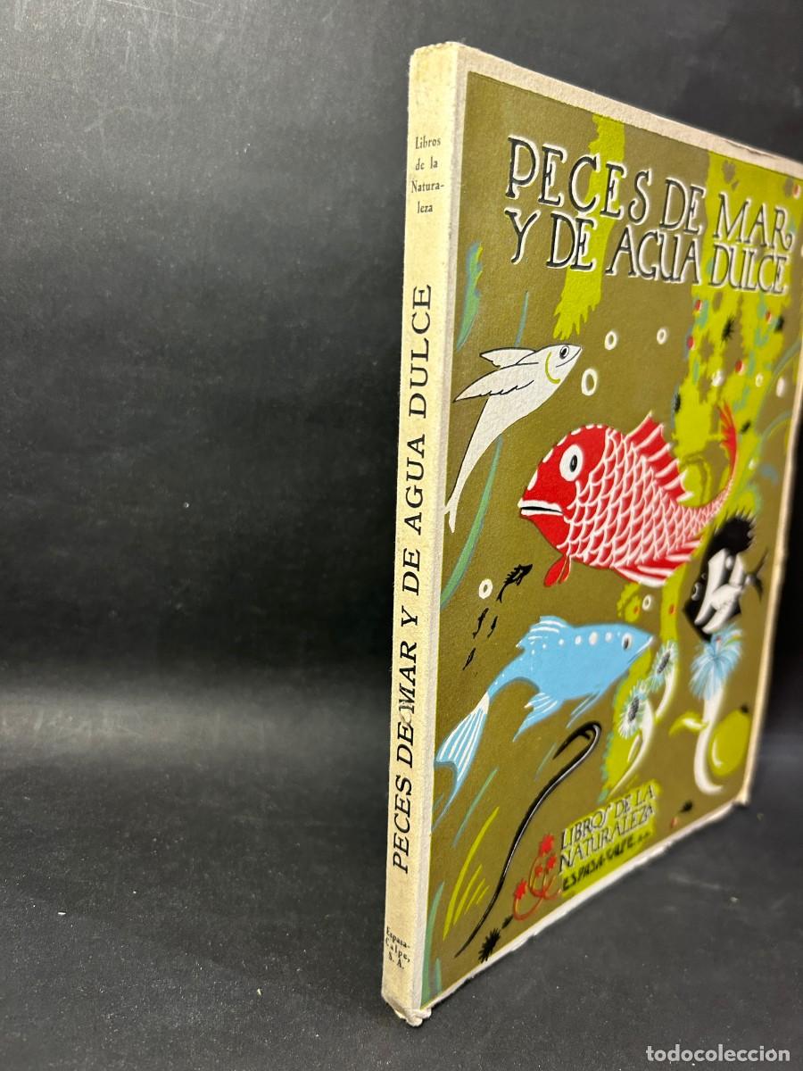 Libros de segunda mano: &Aacute;NGEL CABRERA - PECES DE MAR Y DE AGUA DULCE - 1958 - Foto 2