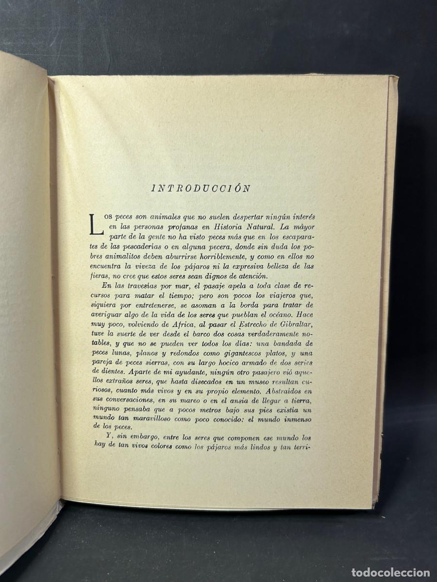 Libros de segunda mano: &Aacute;NGEL CABRERA - PECES DE MAR Y DE AGUA DULCE - 1958 - Foto 3