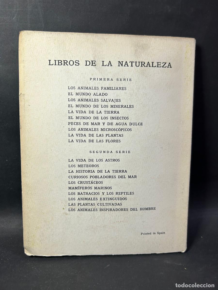 Libros de segunda mano: &Aacute;NGEL CABRERA - PECES DE MAR Y DE AGUA DULCE - 1958 - Foto 4