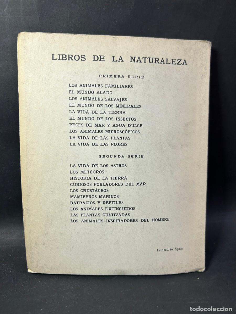 Libros de segunda mano: JUAN DANT&Iacute;N CERECEDA - HISTORIA DE LA TIERRA - 1960 - Foto 4
