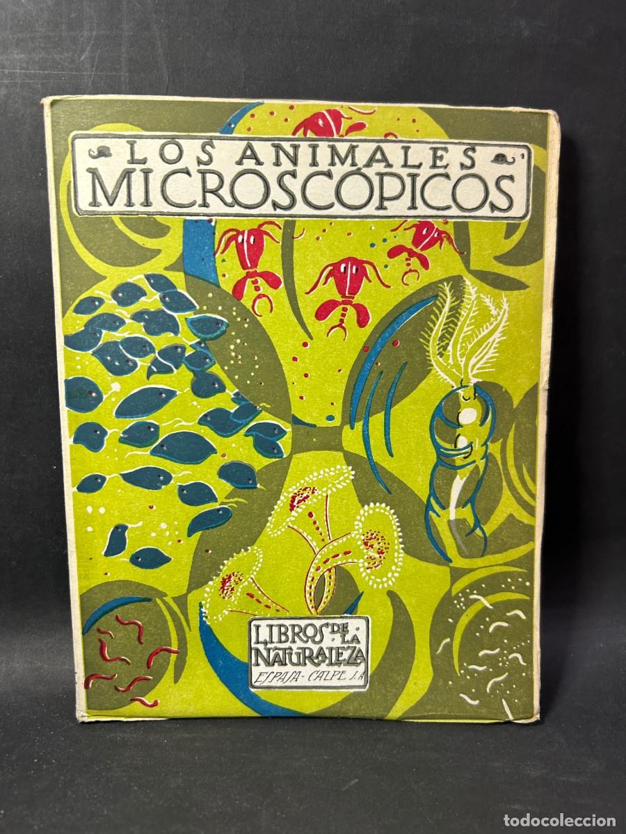 Libros de segunda mano: &Aacute;NGEL CABRERA - LOS ANIMALES MICROSC&Oacute;PICOS - 1955 - Foto 1
