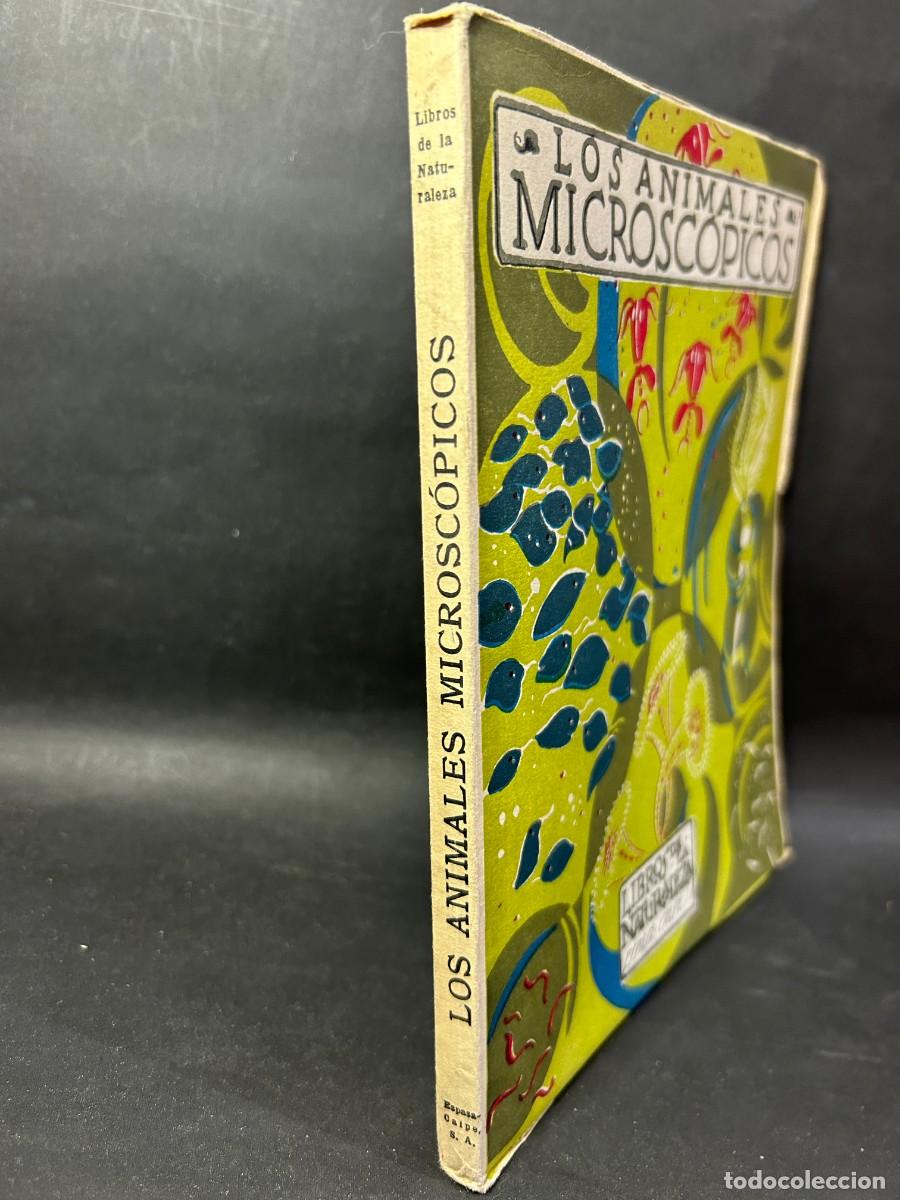 Libros de segunda mano: &Aacute;NGEL CABRERA - LOS ANIMALES MICROSC&Oacute;PICOS - 1955 - Foto 2