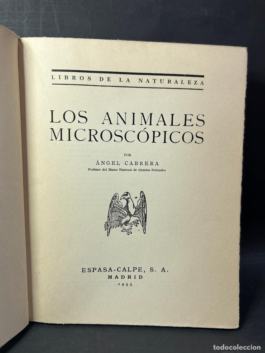 Libros de segunda mano: &Aacute;NGEL CABRERA - LOS ANIMALES MICROSC&Oacute;PICOS - 1955 - Foto 3