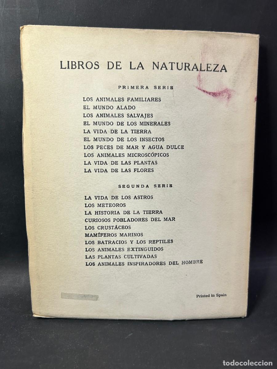 Libros de segunda mano: &Aacute;NGEL CABRERA - LOS ANIMALES MICROSC&Oacute;PICOS - 1955 - Foto 4
