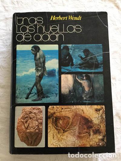 Libros de segunda mano: Tras las huellas de Ad&aacute;n - Herbert Wendt - Foto 1