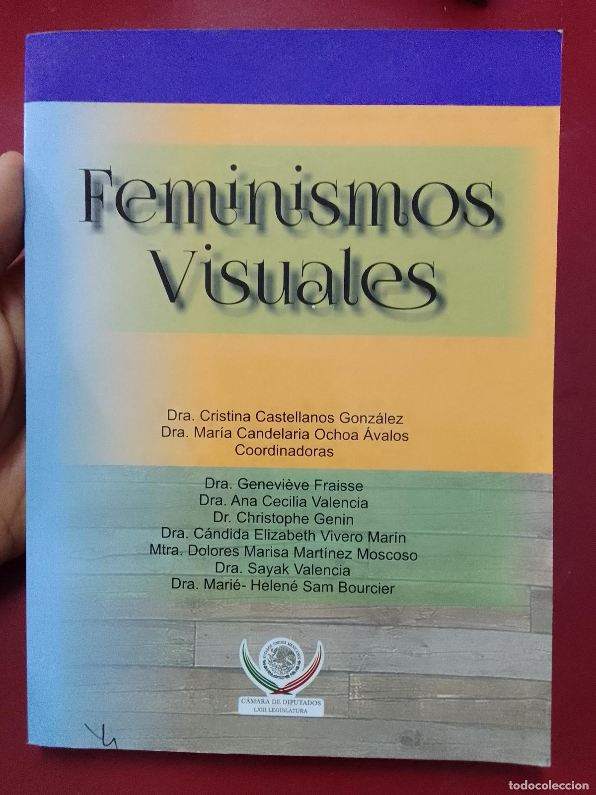 Libri di seconda mano: VV.AA. (Cristina Castellanos Gonz&aacute;lez, Mar&iacute;a Candelaria Ocho &Aacute;valos, coords.): Feminismos visuales