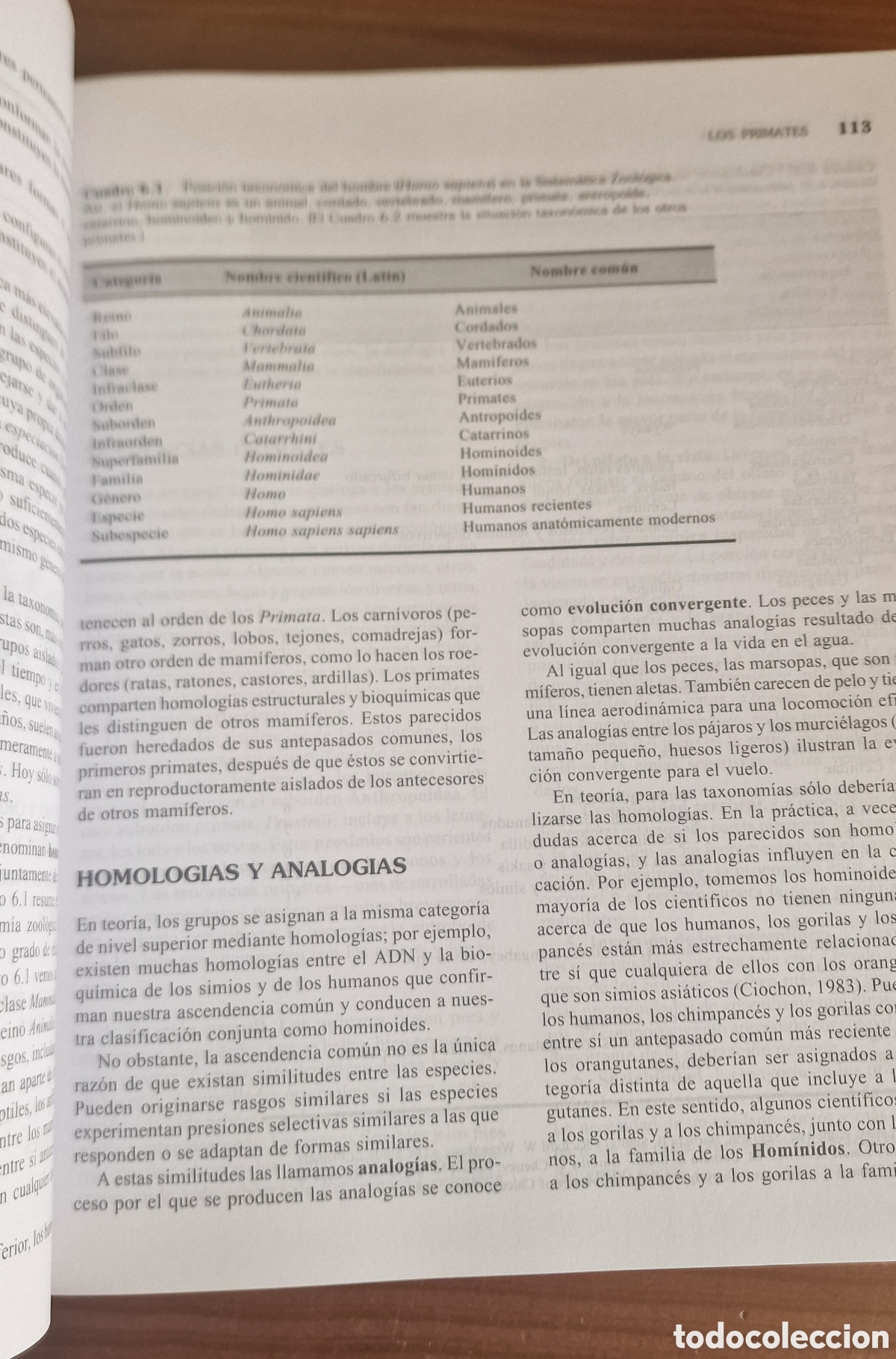 Libros de segunda mano: Antropolog&iacute;a, Conrad Phillip Kottak - Foto 6