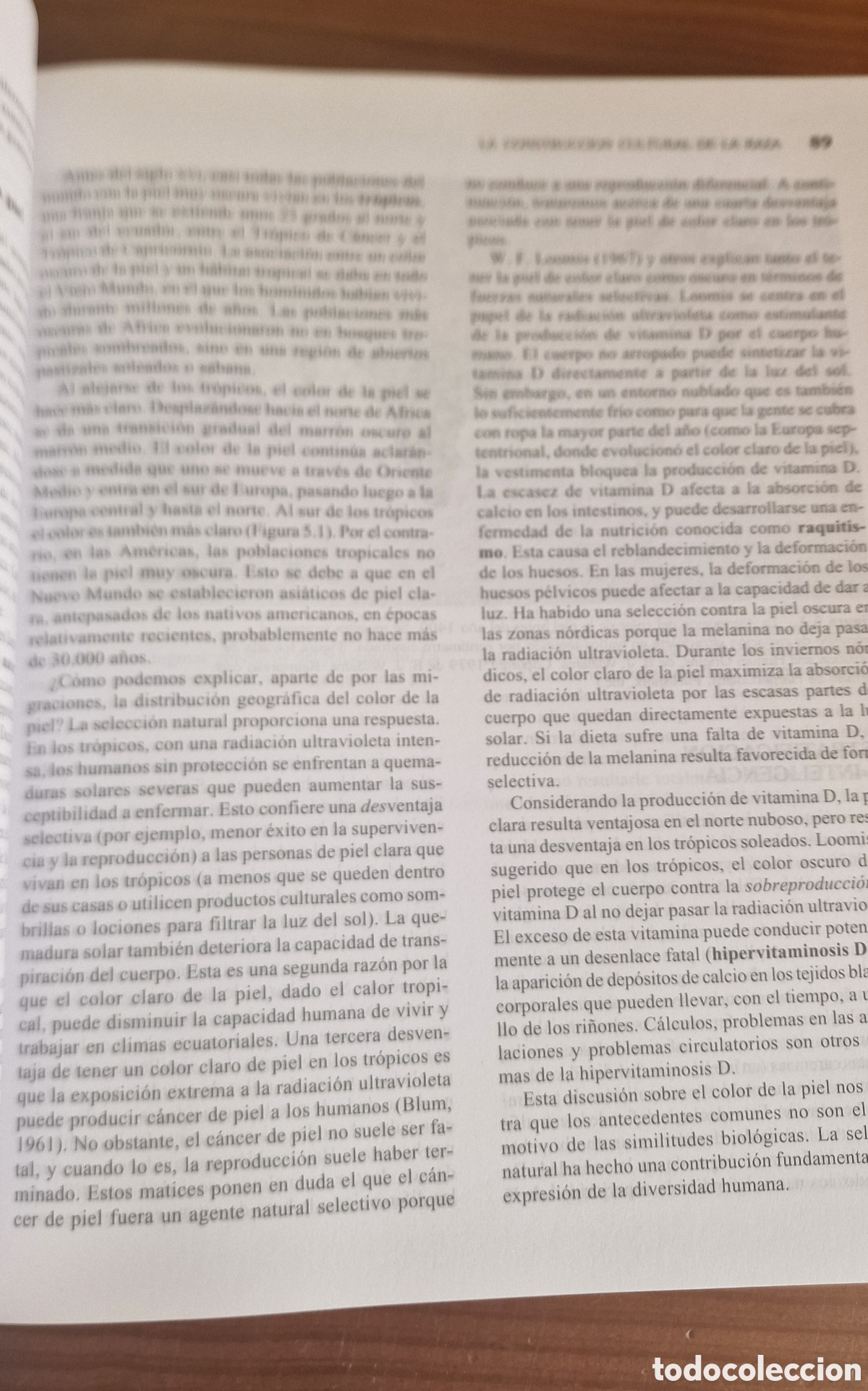 Libros de segunda mano: Antropolog&iacute;a, Conrad Phillip Kottak - Foto 7