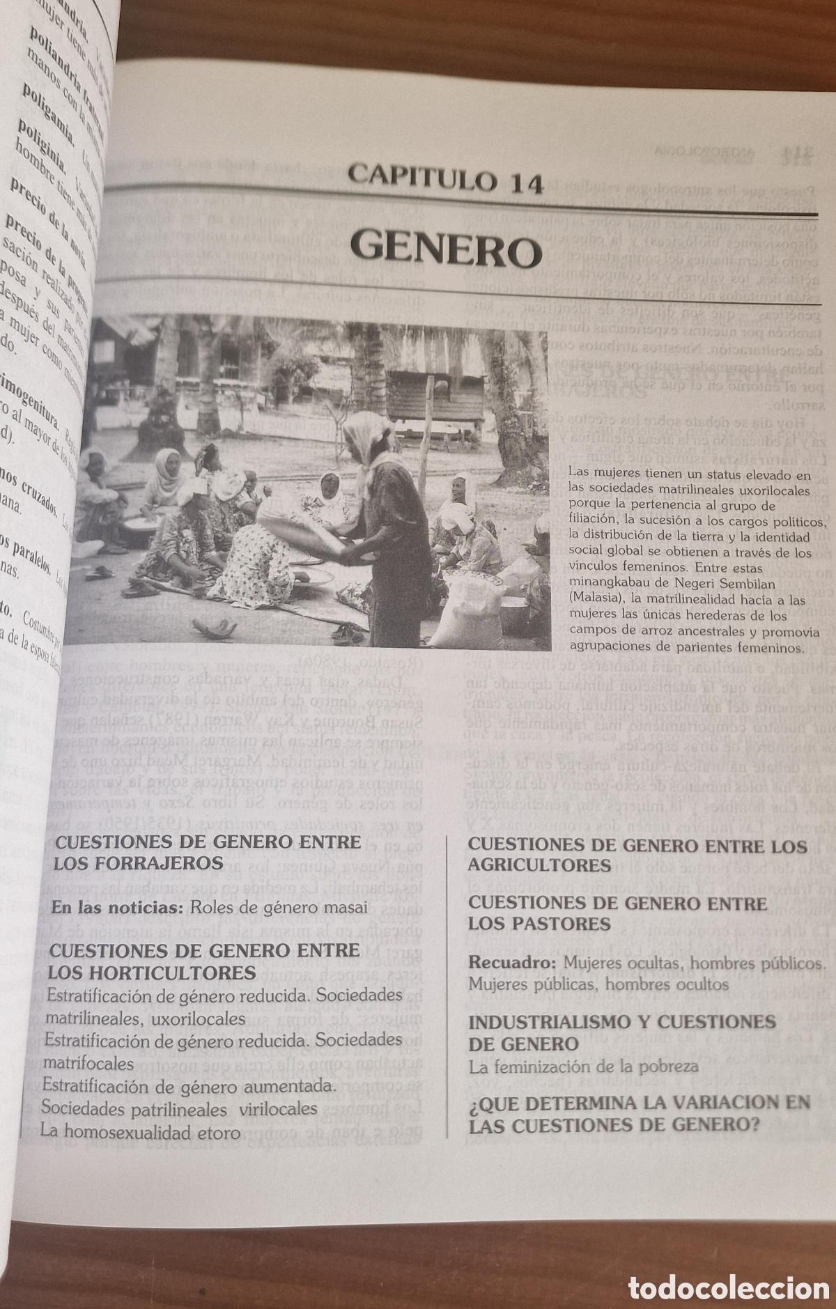 Libros de segunda mano: Antropolog&iacute;a, Conrad Phillip Kottak - Foto 8