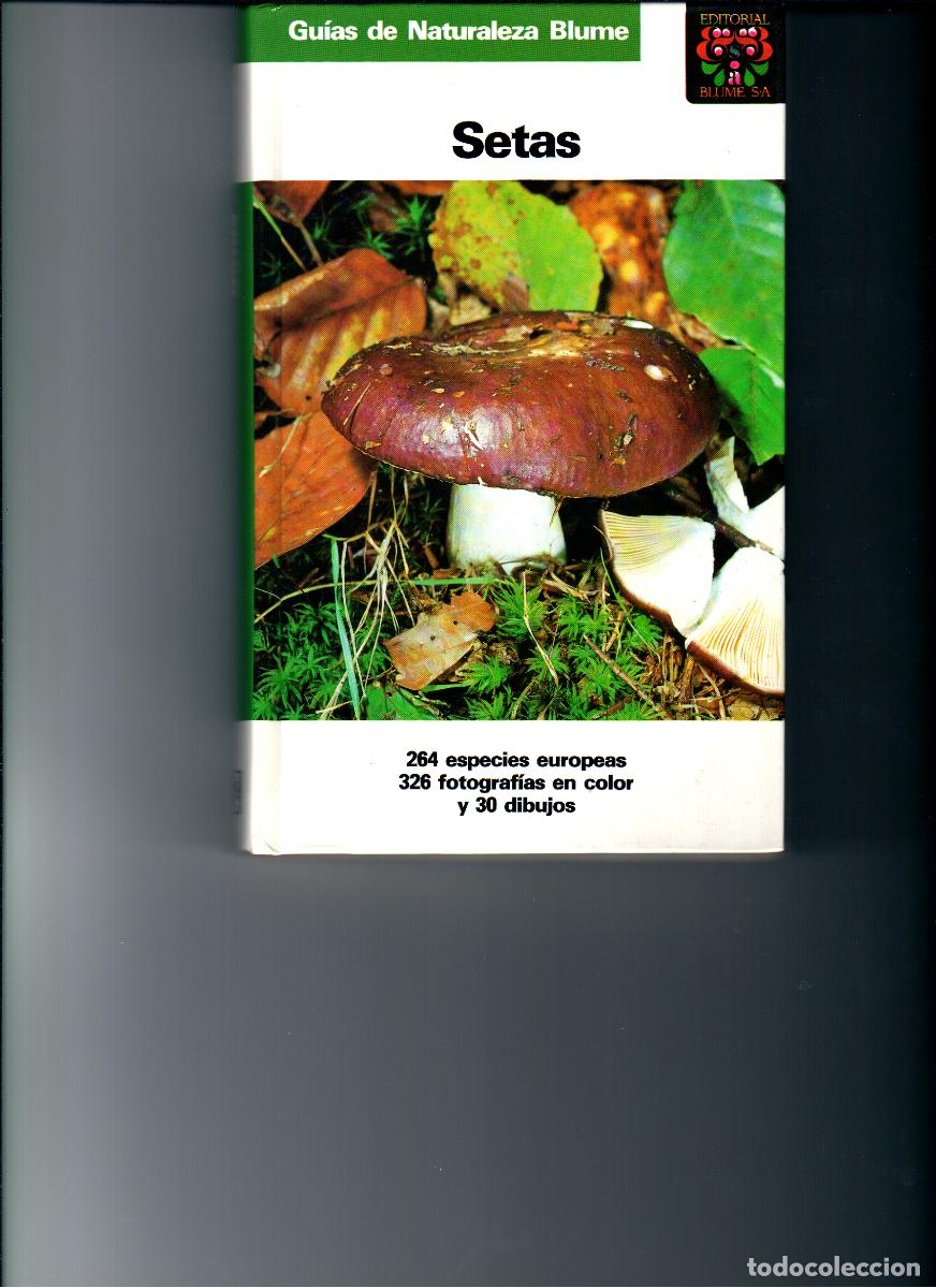 Libros de segunda mano: LIBROS MANUAL DE SUPERVIVENCIA Y SETAS - Foto 3