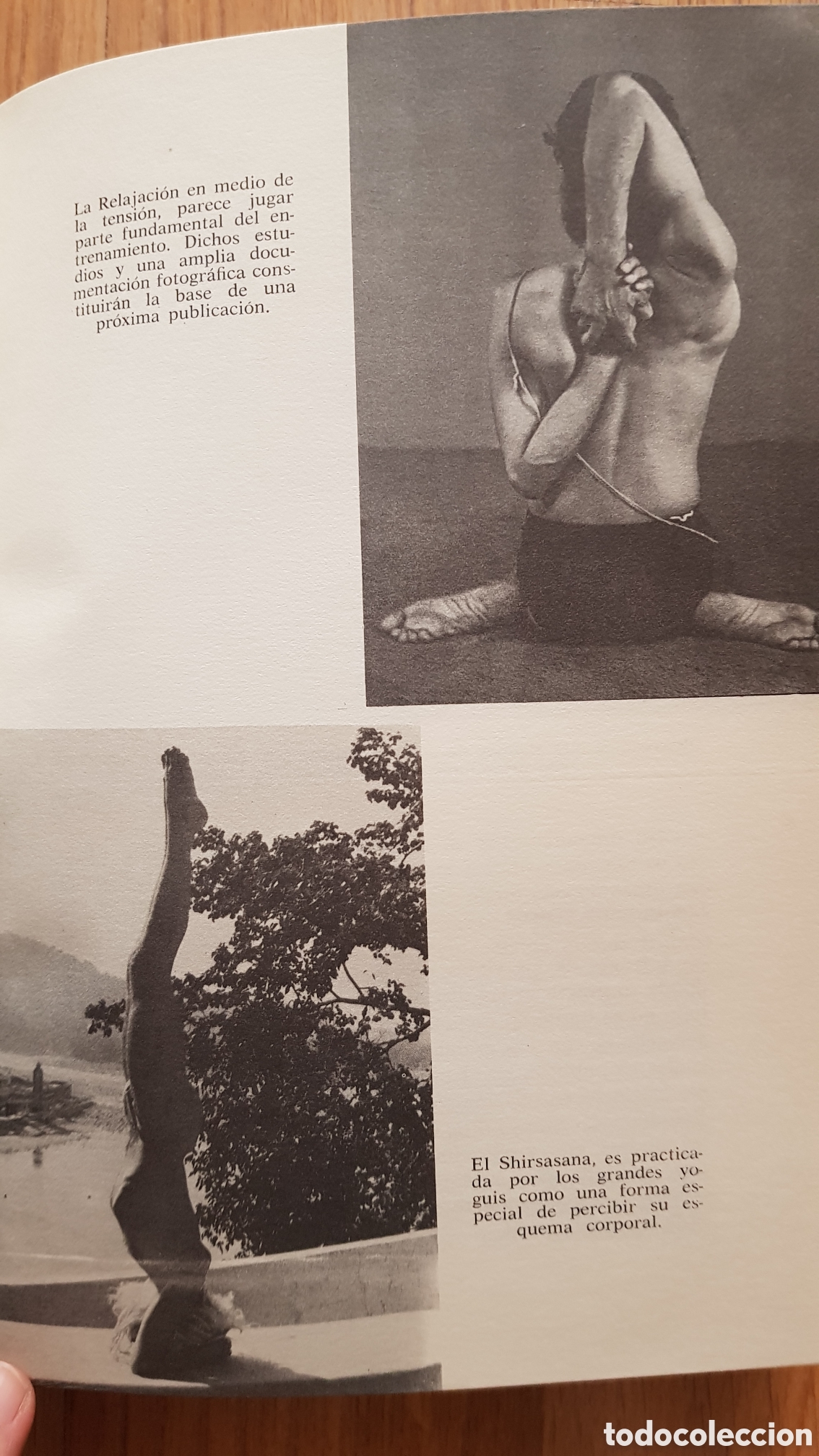 Libros de segunda mano: La india de los yoguis. Caycedo - Foto 10