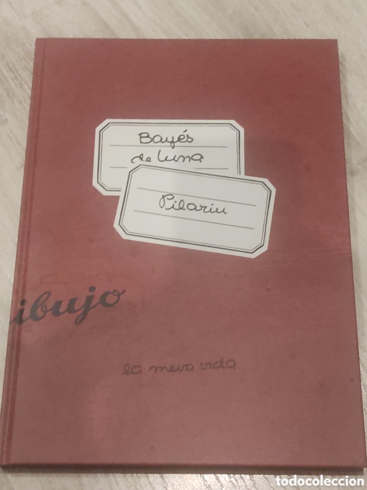 Libros de segunda mano: Libro Pilarin Bay&eacute;s de Luna La meva vida 2018 - Foto 1