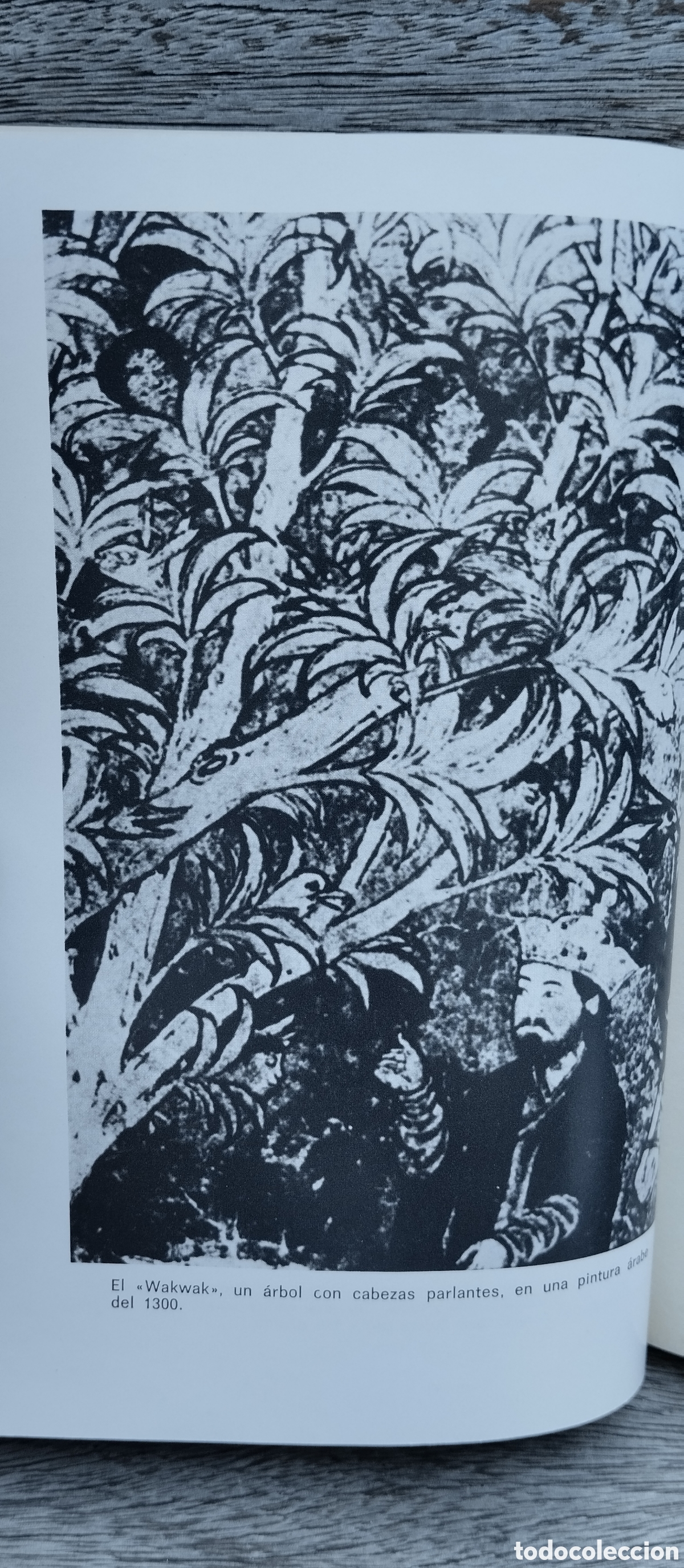 Libros de segunda mano: Flores de Luna, Peter Kolosimo, Plaza & Jan&eacute;s - Foto 6
